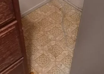 Home Cleaning Services (14)