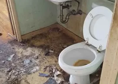 Home Cleaning Services (20)