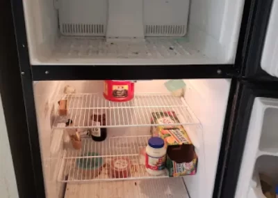 Home Cleaning Services (5)