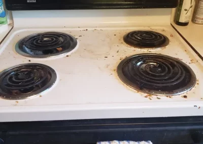 Professional Cleaning Service