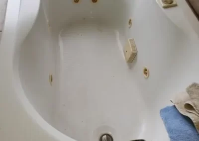 Professional House Cleaning